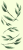 Tapeta na telefon Rooted Within.png