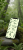 Tapeta na telefon rooted within - mockup.png